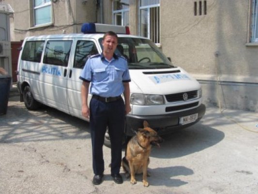 Câinele poliţist 